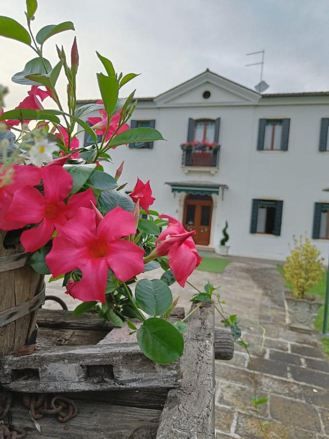 Agriturismo Villa Greggio Casalserugo Zewnętrze zdjęcie
