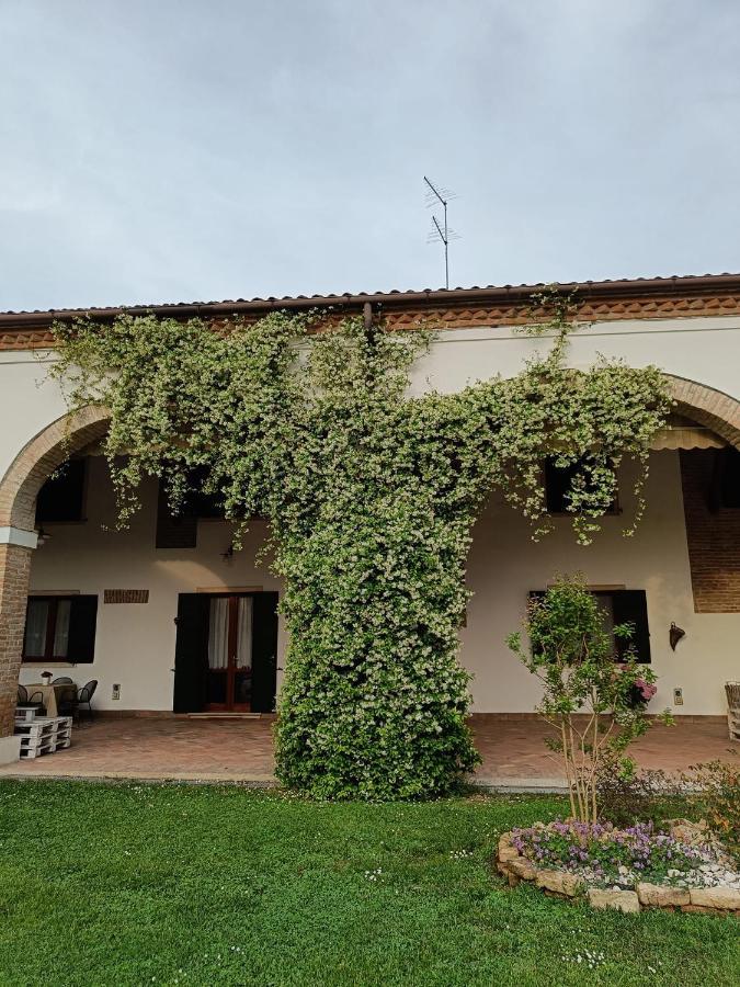 Agriturismo Villa Greggio Casalserugo Zewnętrze zdjęcie
